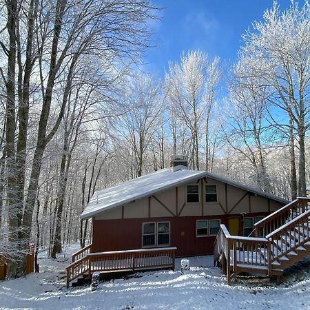 Cozy Cabin With Boosted Wi-Fi Beech Mountain Zewnętrze zdjęcie
